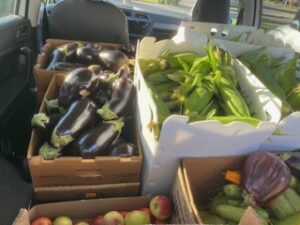 100,000 Pounds Rescued – 83,895 Meals!